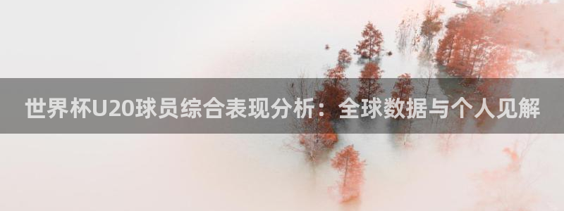 2026世界杯南美区积分榜:世界杯U20球员综合表现分析:全球数据与个人见解