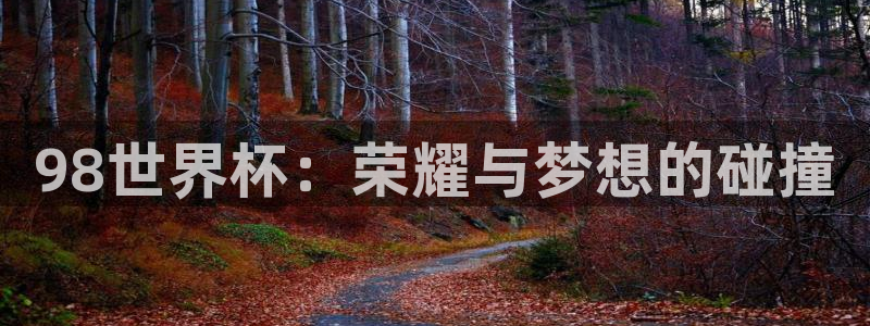 今年世界杯:98世界杯:荣耀与梦想的碰撞