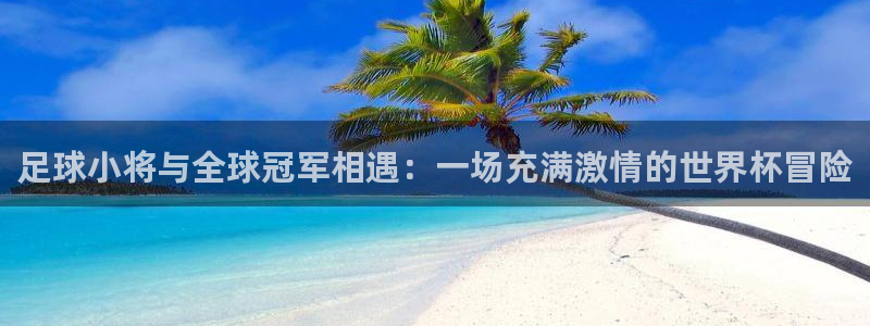 世界杯球队排名:足球小将与全球冠军相遇:一场充满激情的世界杯冒险