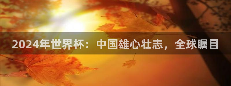 世界杯比赛时间:2024年世界杯:中国雄心壮志,全球瞩目